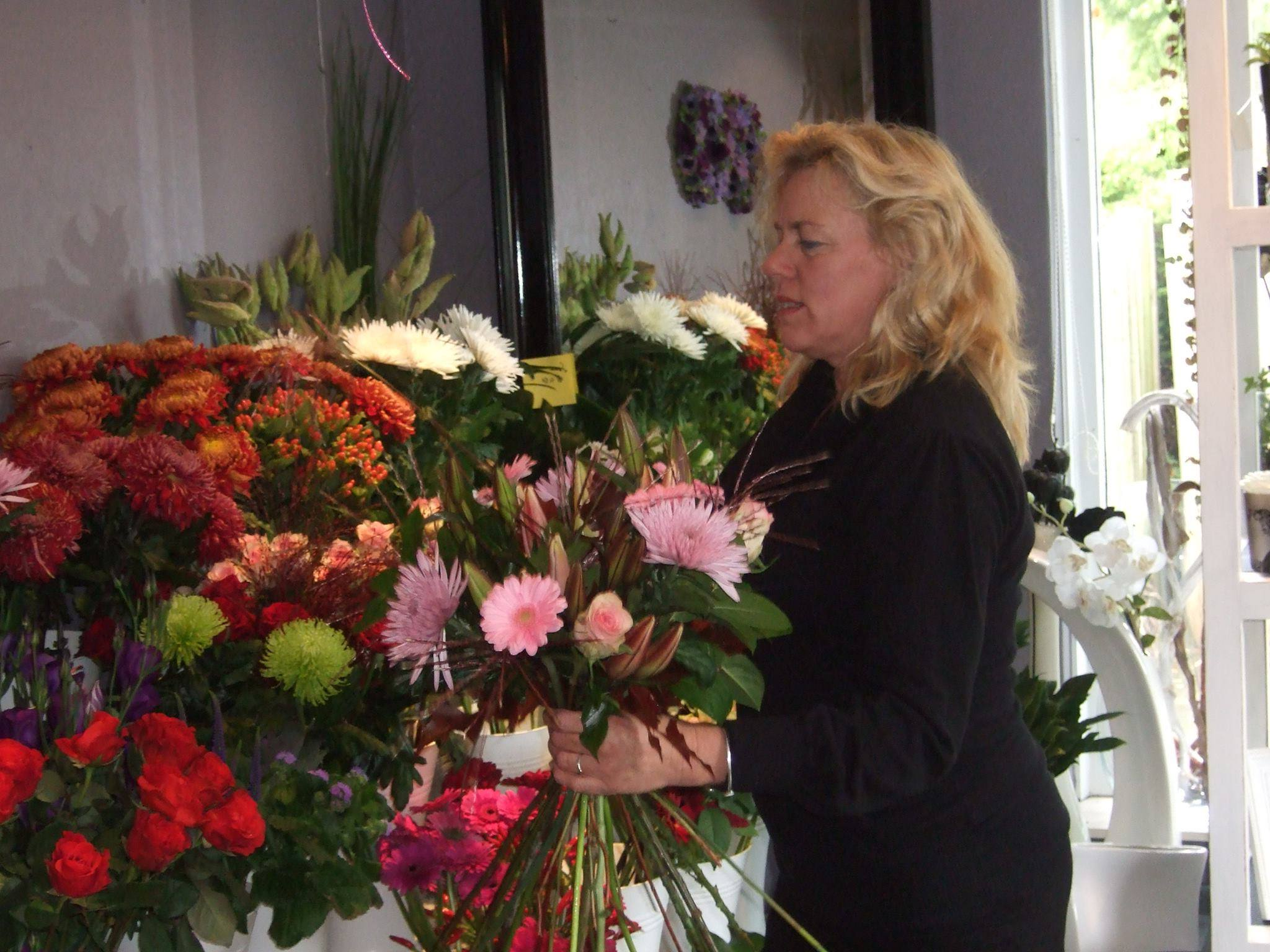Hoe het allemaal begon
